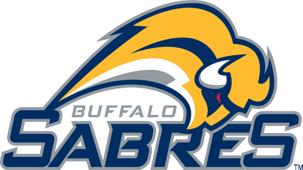 Buffalo Sabres 2006-2010 Wordmark Logo iron on heat transfer